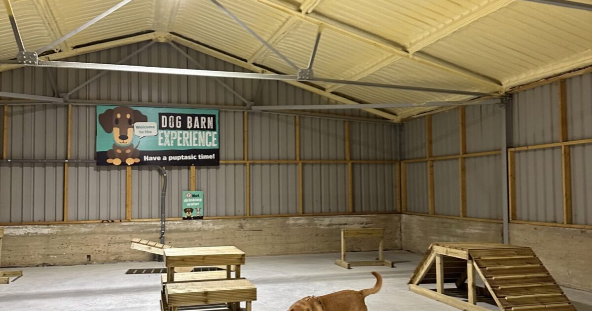 5 Reasons The Indoor Dog Play Barn Is the Best | Foxes Farm Fields