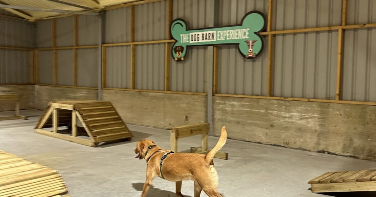 Why Your Dog Needs a Private Dog Walking Barn | Foxes Farm Fields