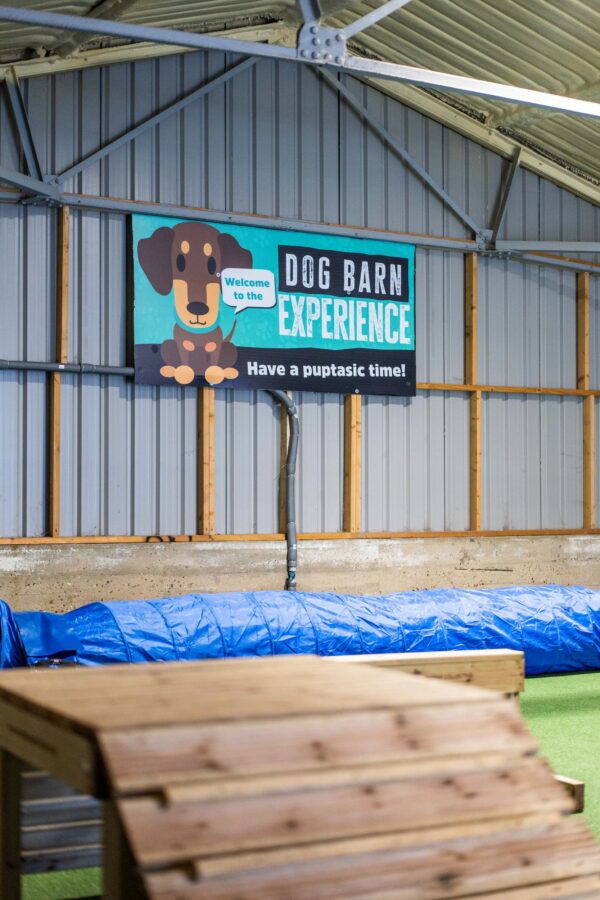 Carpet dog barn