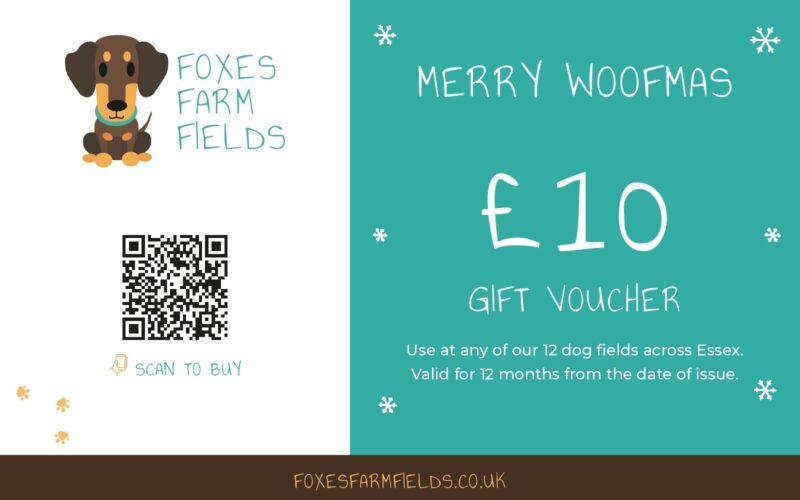 Foxes Farm Fields Merry Woofmas £10 Christmas gift voucher, usable at any of our 12 dog fields across Essex