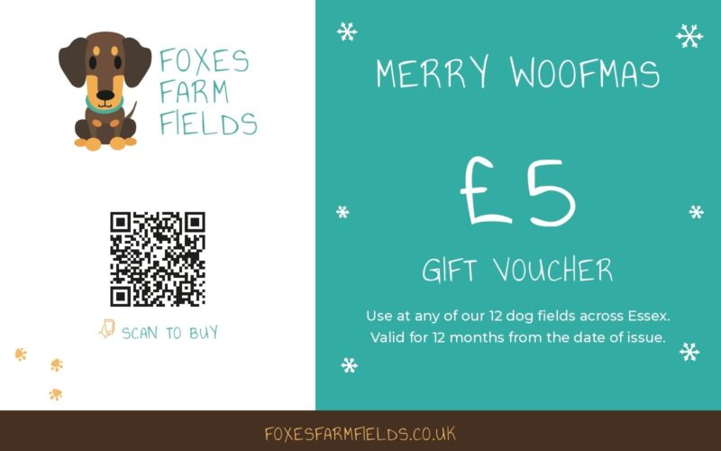 Foxes Farm Fields Merry Woofmas £5 Christmas gift voucher, usable at any of our 12 dog fields across Essex