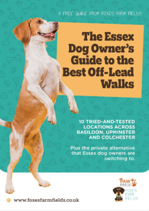 Front page of Essex Dog Owners Guide