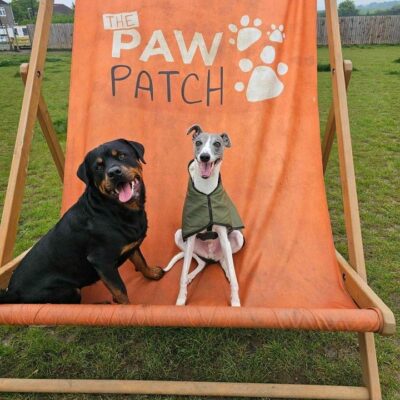 Essex Paw Patch Giant Deck Chair