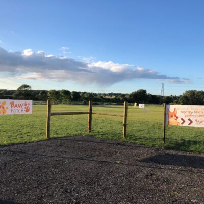Dunton Road Paw Patch Dog Field