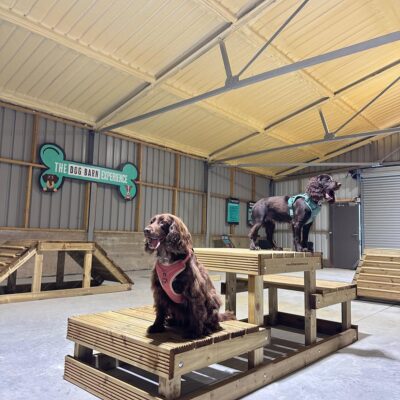 Dog Barn Colchester