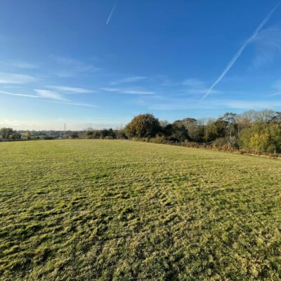 Dog Walking Field Hall Lane Upminster