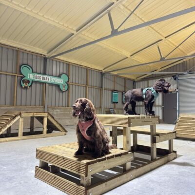 Dog agility barn Colchester
