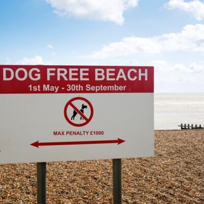 Dogs banned on beaches Essex