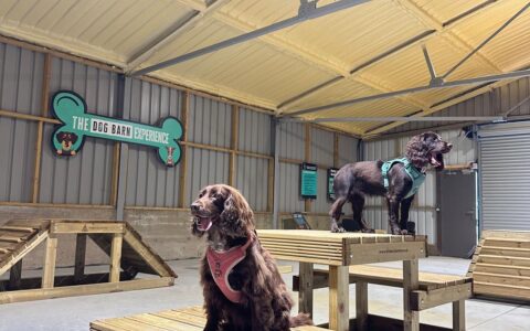 Dog Barn Colchester