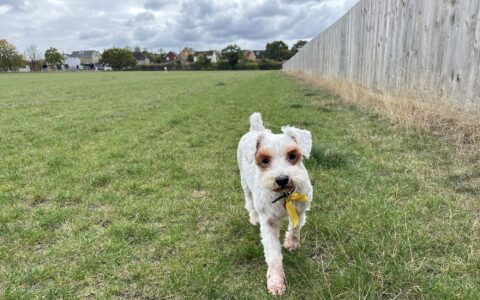 Private Enclosed Fields To Hire