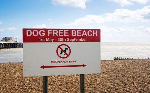 Dogs banned on beaches Essex